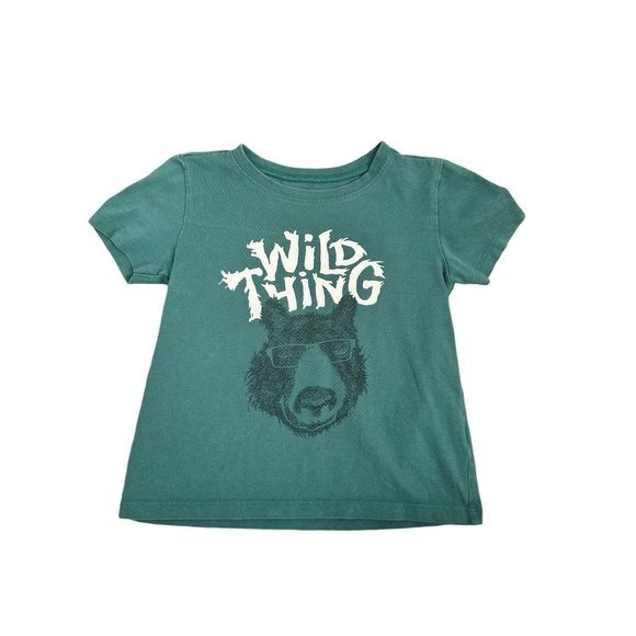 Life Is Good Kids Green Wild Thing Graphic Tee 4T Toddler Crew Neck Short Sleeve - Picture 1 of 4